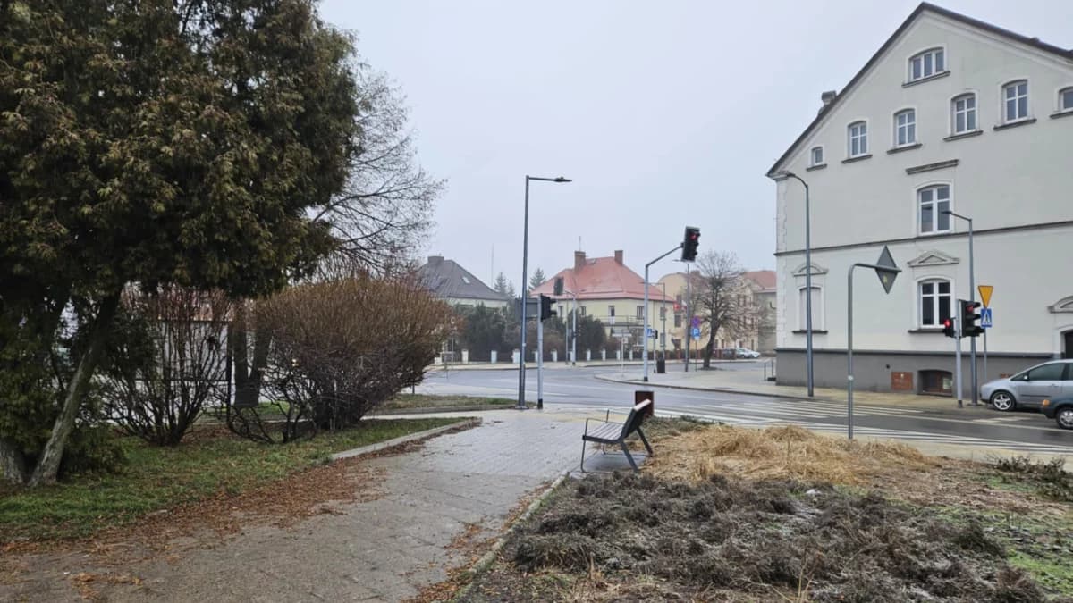 Powrót dwucyfrowego mrozu. Jaka pogoda będzie w weekend w Jarocinie?