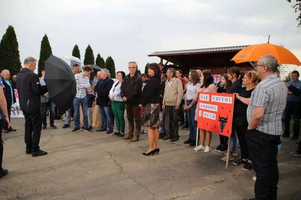 Przemysłowa hodowla bydła w Kadziaku? Mieszkańcy protestują. Przyjechała telewizja [ZDJĘCIA]