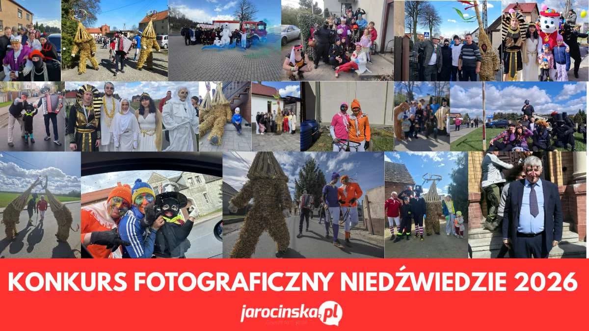 Niedźwiedzie 2026. GŁOSOWANIE! Wybierz najlepsze zdjęcie w naszym konkursie [ZDJĘCIA]