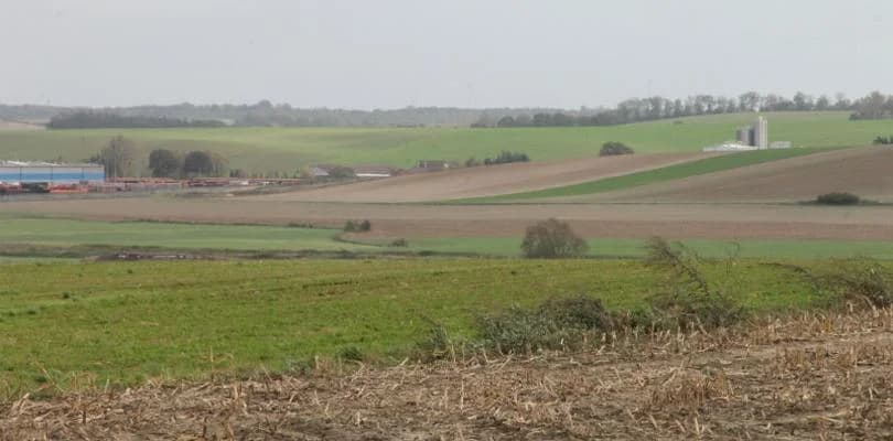 [WR] Rekompensaty za szkody wyrządzone przez ptaki