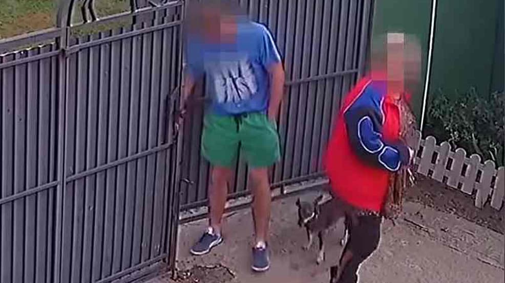 Sąd Najwyższy uchylił wyrok w sprawie pary, która podrzuciła psa do schroniska w Radlinie