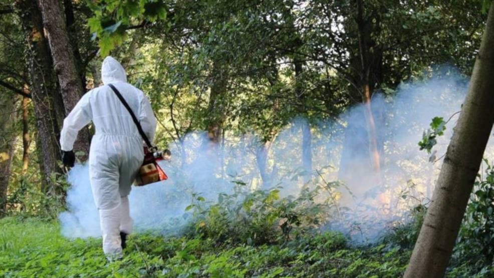 Jarocin Festiwal 2021. Miasto przeprowadzi odkomarzanie przed imprezą