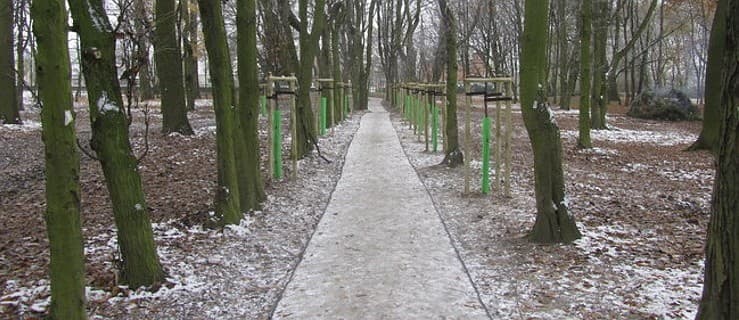 Uporządkowany i odnowiony park dla mieszkańców DPS-u