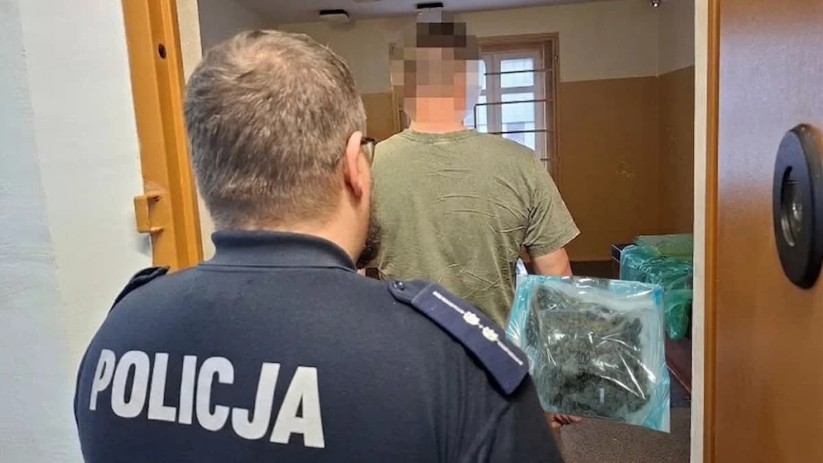Zrobili sobie z tego stałe źródło dochodu. Najmłodszy ma zaledwie 17 lat