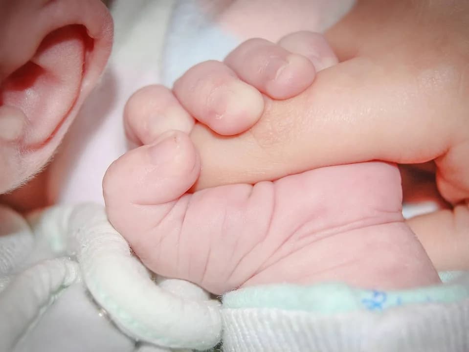 Ile dzieci urodziło się w Jarocinie? Ile ślubów zawarto w 2023 roku na Ziemi Jarocińskiej? Jakie imiona były popularne?