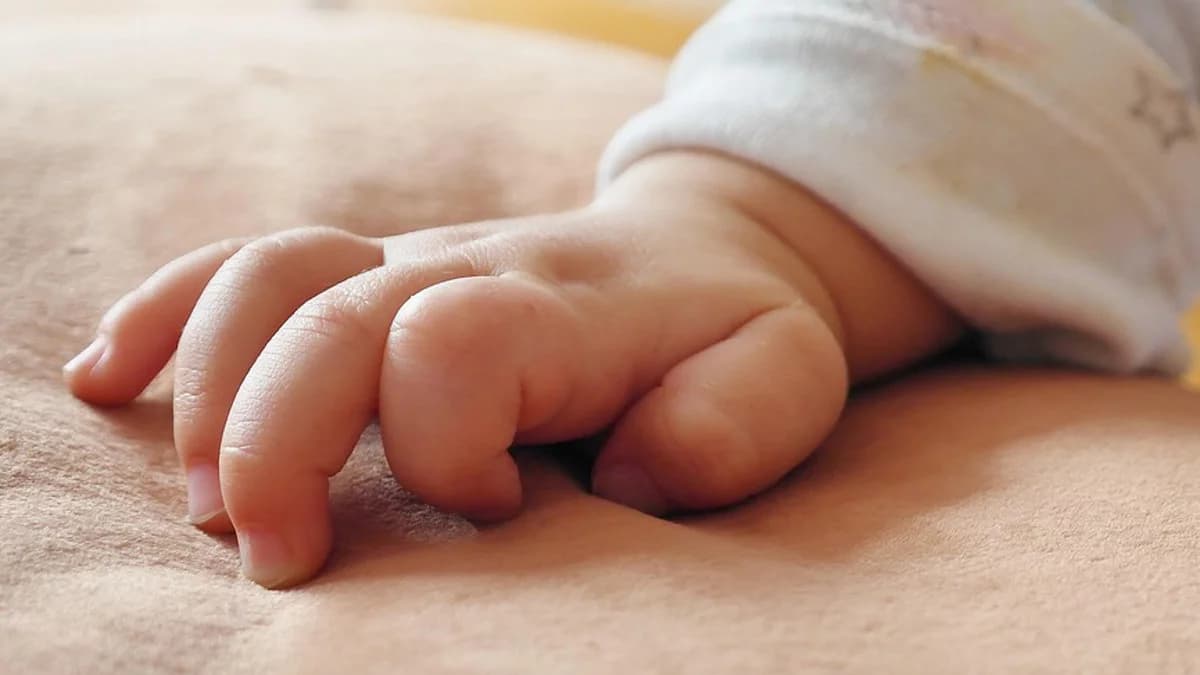 Jednogłośnie za „Kotlińską paczką dla niemowlaczka”