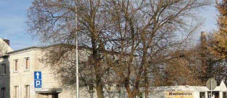 Działka z Różą dla szpitala