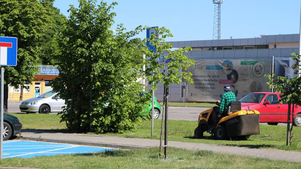 Jarocin. Gmina ogranicza koszenie trawników do miejsc, gdzie jest to niezbędne