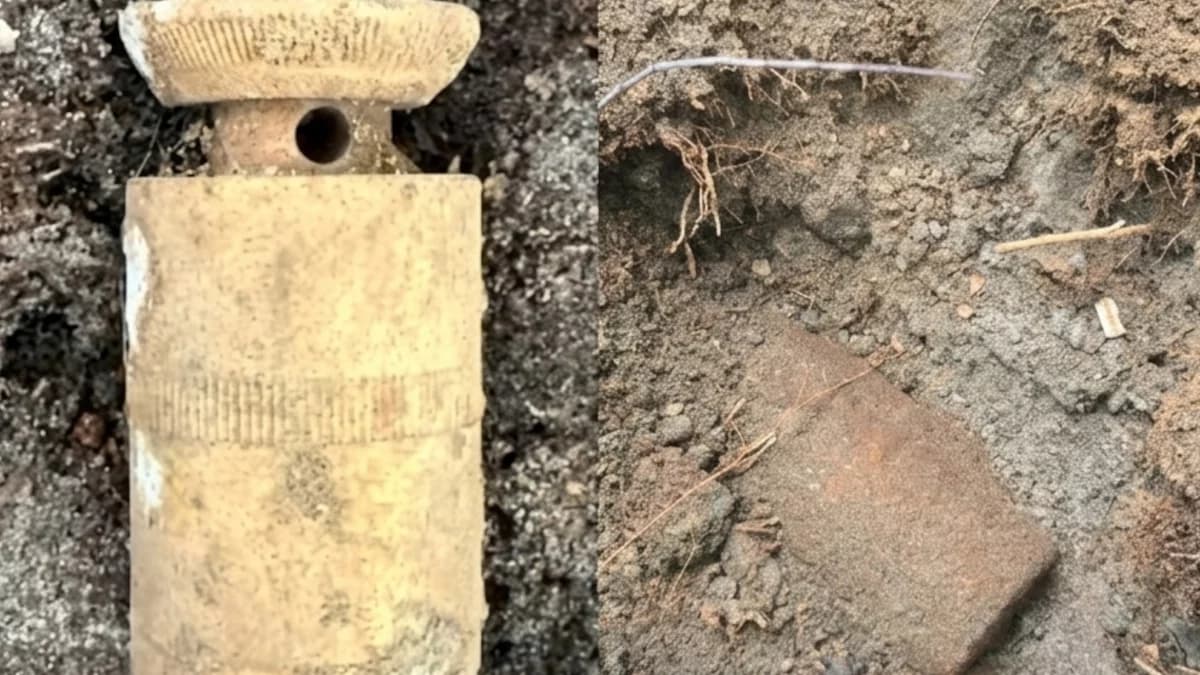 Groźne znalezisko w lesie. Poszukiwacze trafili na niewypały z II wojny światowej