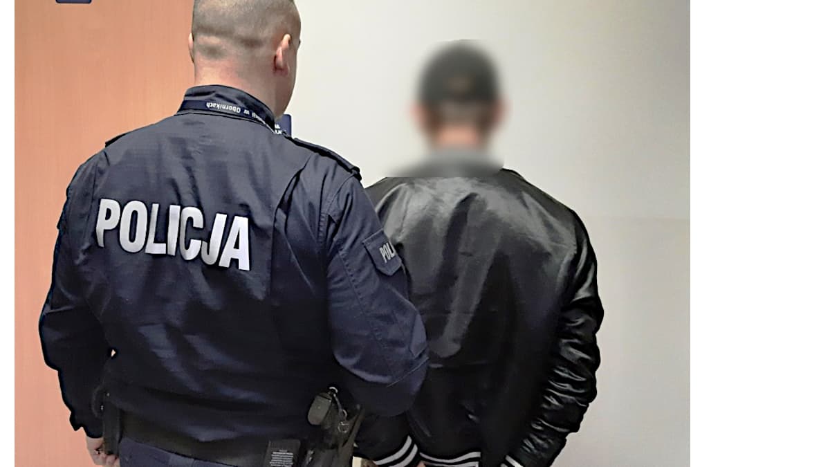 Złodzieje skradli siedem samochodów. Ile odzyskała policja?