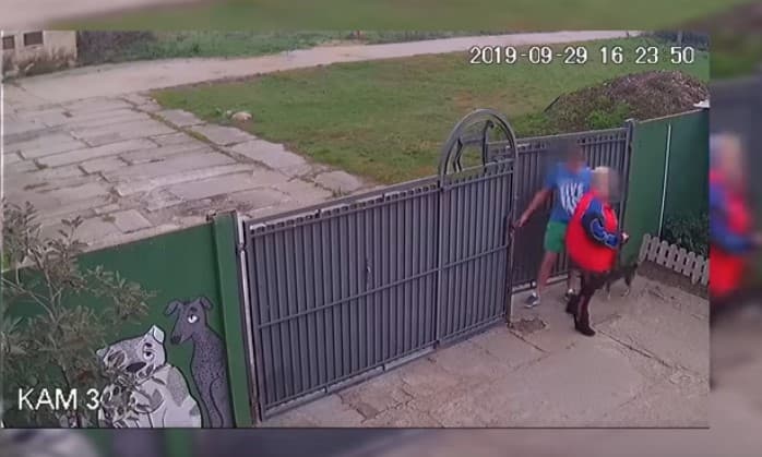 Porzucili psa pod schroniskiem w Radlinie. Zostali oskarżeni, ale sąd umorzył postępowanie. Teraz sprawą zajmie się Sąd Najwyższy  [WIDEO]