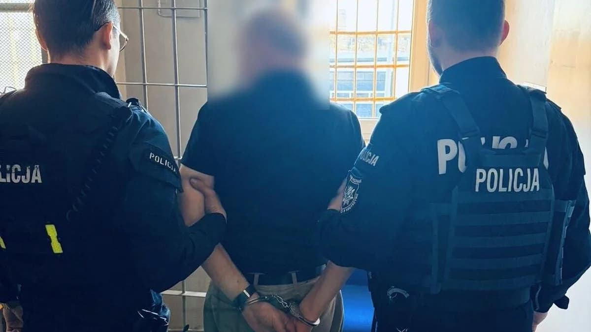 Recydywiści wciąż wracają na drogi. To prawo nie działa? [RAPORT]