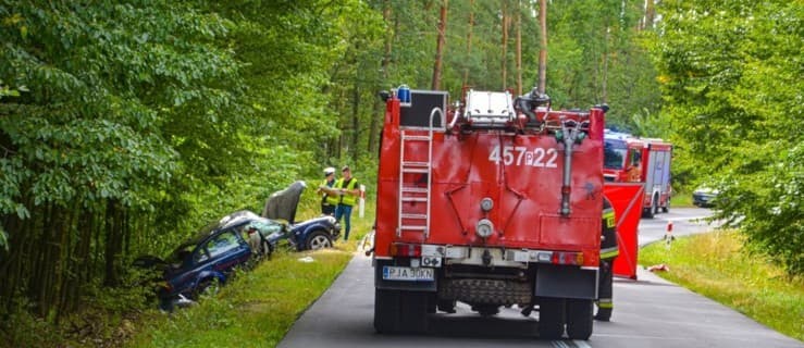 Dwie osoby zginęły w wypadku na drodze wojewódzkiej 443 [ZDJĘCIA]