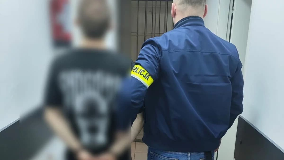 Znalazł dowód osobisty, podrabiał podpisy i kupił dziesiątki aut na mieszkańca gminy Jarocin. Policja zatrzymała oszusta