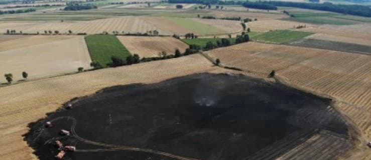Duży pożar zboża na pniu [ZDJĘCIA]