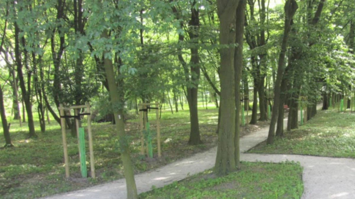 Powiat jarociński dostał dofinansowanie. Zabytkowy park w Kotlinie czekają zmiany
