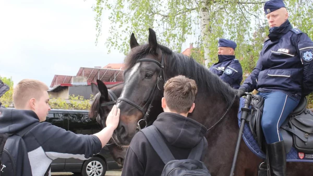 W Jarocinie zagrają dla "Zakątka Weteranów". Policjanci będą zbierać pieniądze dla czworonożnych, emerytowanych funkcjonariuszy