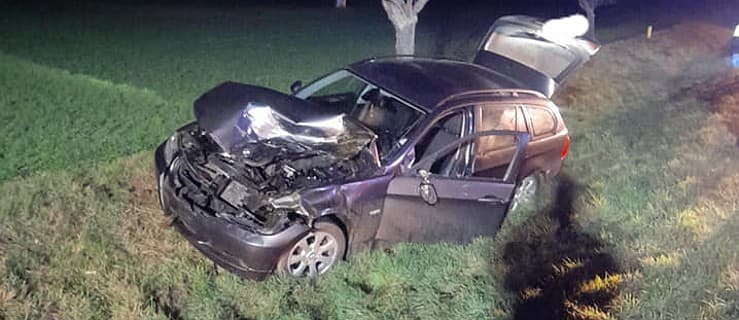 Łania wbiegła na drogę krajową pod nadjeżdżające BMW na drodze krajowej nr 12 w Górze