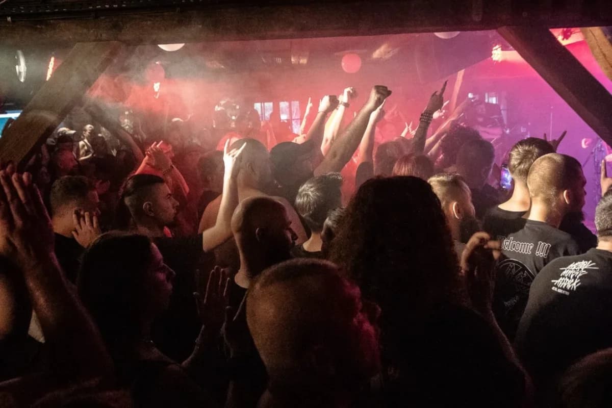 Gwiazda światowego formatu zagrała w Jarocinie. Fani zachwyceni [ZDJĘCIA]