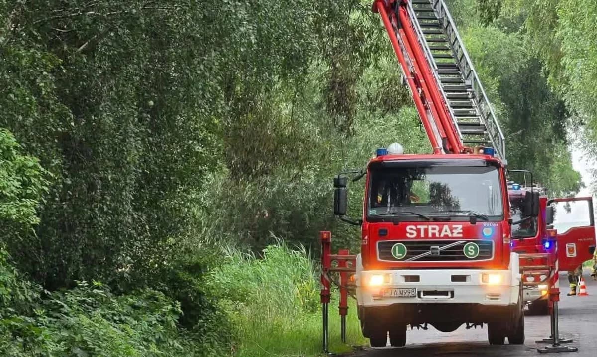 Wiatrołomy i zagrożenie na drogach. Strażacy usuwali skutki burzy