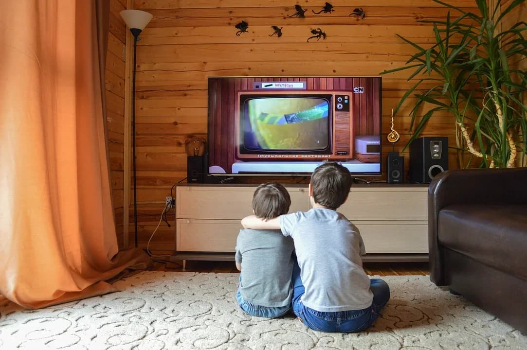 Abonament RTV 2024. Zobacz, ile wynosi  i kto jest zwolniony z opłat